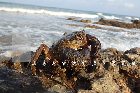 海马车贷逾期后多久还款(海马金融车贷结清)