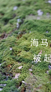 海马金融逾期多少次(海马金融逾期多少次会被起诉)