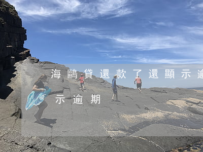 海鷗貸還款了還顯示逾期(海鷗貸還款了還顯示逾期)