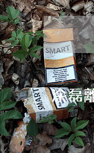 涂磊離婚了怎么辦