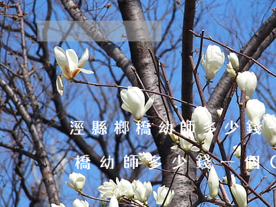 涇縣榔橋幼師多少錢一個(gè)月(涇縣榔橋幼師多少錢一個(gè)月)