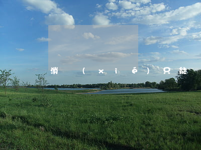 消協(xié)只能調(diào)解嗎