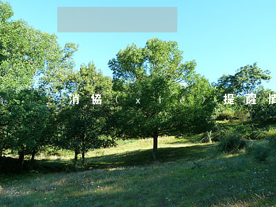 消協(xié)提醒：慎用“足下抽脂貼”