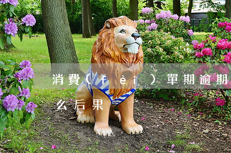 消費(fèi)單期逾期會(huì)有什么后果