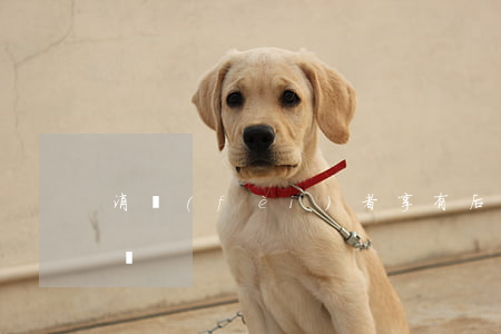 消費(fèi)者享有后悔權(quán)嗎
