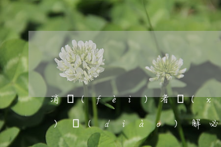 消費(fèi)者協(xié)會(huì)調(diào)解必須遵守哪些原則