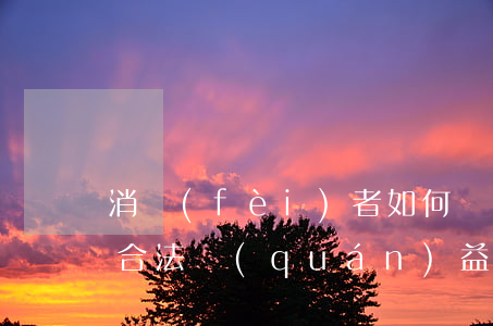 消費(fèi)者如何維護(hù)自己的合法權(quán)益