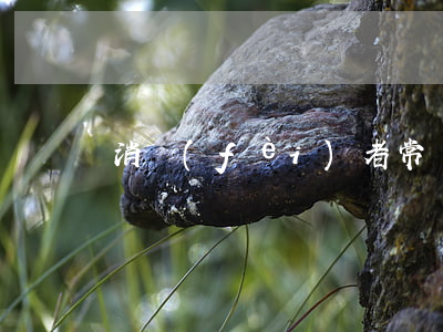 消費(fèi)者常識(shí)有哪些