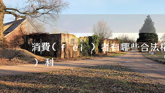 消費(fèi)者有哪些合法權(quán)利