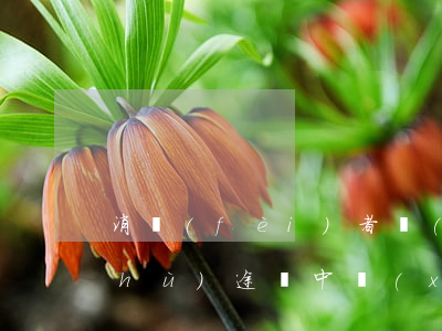 消費(fèi)者權(quán)益保護(hù)途徑中協(xié)商和解是什么意思