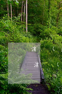 消費(fèi)者權(quán)益有哪些，消費(fèi)者權(quán)利有幾種（消費(fèi)者權(quán)益保護(hù)）