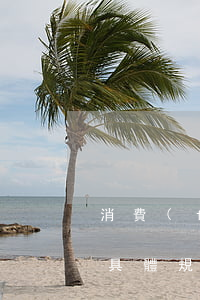 消費(fèi)者權(quán)益法三包具體規(guī)定