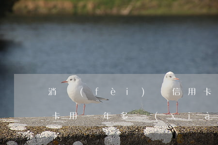 消費(fèi)貸信用卡逾期半年-我信用卡用一年多現(xiàn)在逾期半年