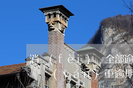 消費(fèi)貸全部逾期(消費(fèi)貸嚴(yán)重逾期)