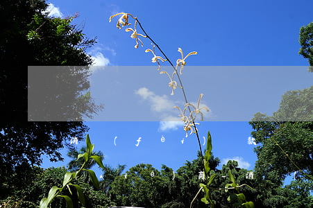 消費(fèi)貸款掛賬停息怎么和銀行協(xié)商-消費(fèi)貸款可以停息掛賬嗎
