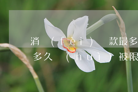 消費(fèi)貸款最多逾期多久(貸款逾期多久會(huì)被限制高消費(fèi))