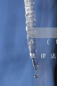 消費(fèi)貸款涉及相關(guān)法律法規(guī)(關(guān)于網(wǎng)貸的法律法規(guī)有哪些)