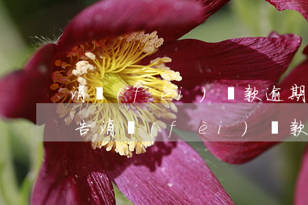 消費(fèi)貸款逾期不良報(bào)告(消費(fèi)貸款逾期案后果)