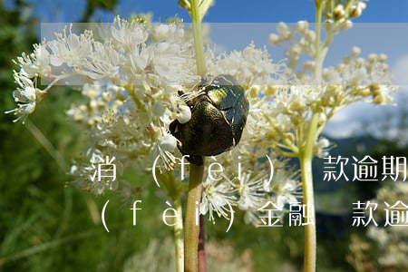消費(fèi)貸款逾期二十天(在馬上消費(fèi)金融貸款逾期一年會(huì)被起訴嗎)