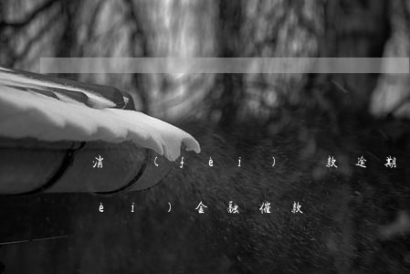 消費(fèi)貸款逾期催收措施(消費(fèi)金融催款)