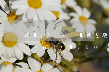 消費(fèi)貸款逾期兩個(gè)小時(shí)會(huì)怎么樣(消費(fèi)貸逾期一天影響房貸嗎)