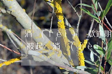 消費(fèi)貸款逾期多久會(huì)被起訴(消費(fèi)金融貸款逾期會(huì)起訴嗎)