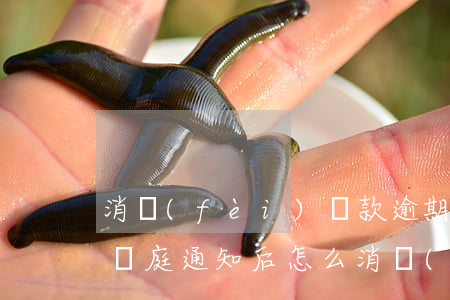 消費(fèi)貸款逾期法院送達(dá)開庭通知后怎么，消費(fèi)貸款逾期，收到法院開庭通知后的應(yīng)對策略