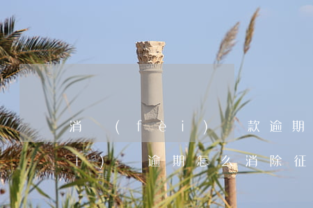 消費(fèi)貸款逾期能消除(消費(fèi)貸逾期怎么消除征信逾期記錄)