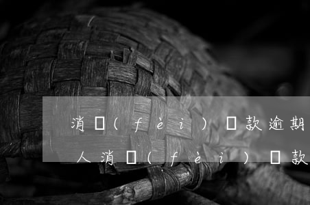 消費(fèi)貸款逾期被起訴(個(gè)人消費(fèi)貸款逾期多久會(huì)被起訴)