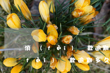 消費(fèi)貸款逾期被起訴(銀行消費(fèi)貸款逾期多久會被起訴)