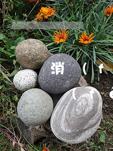 消費(fèi)貸每個(gè)月都逾期(消費(fèi)貸每個(gè)月都逾期)