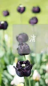 消費(fèi)貸節(jié)假日算逾期嗎-消費(fèi)貸節(jié)假日算逾期嗎