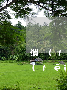 消費(fèi)貸逾期被起訴誰來通知(消費(fèi)金融逾期還款起訴)