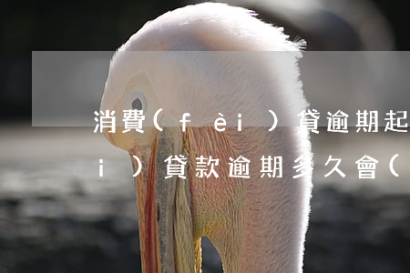 消費(fèi)貸逾期起訴(銀行消費(fèi)貸款逾期多久會(huì)被起訴)