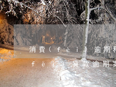 消費(fèi)逾期和詐騙銀行貸款(消費(fèi)貸款逾期案后果)