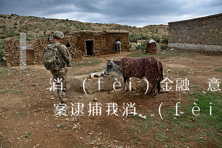 消費(fèi)金融惡意逃避違法嗎?還說立案逮捕我（消費(fèi)金融逾期起訴惡意逃避怎么辦）