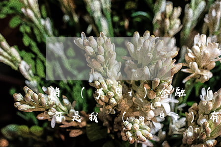消費(fèi)金融說(shuō)我逾期可是我沒(méi)有欠款 沒(méi)有在馬上消費(fèi)金融貸款,為什么說(shuō)逾期