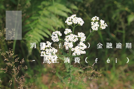 消費(fèi)金融逾期六百多會被起訴嗎-馬上消費(fèi)金融欠600會不會起訴