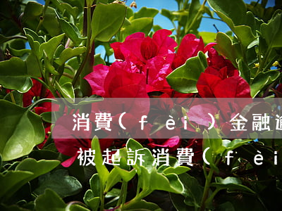 消費(fèi)金融逾期多久會(huì)被起訴(消費(fèi)金融逾期兩年真的會(huì)立案嗎)