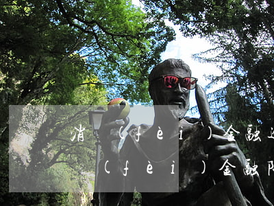 消費(fèi)金融逾期會限制出行嗎-消費(fèi)金融限行令