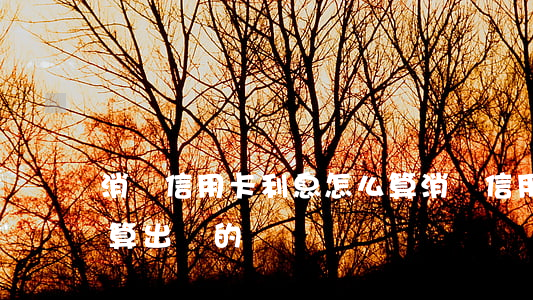 消費信用卡利息怎么算(消費信用卡利息怎么算出來的)