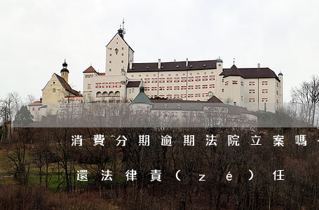 消費分期逾期法院立案嗎-消費分期逾期不還法律責(zé)任