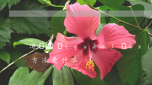 消費維權(quán)協(xié)商和解方法是什么