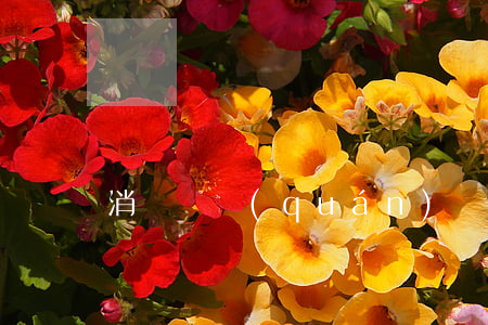 消費維權(quán)為何難
