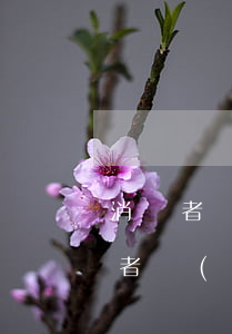 消費者協(xié)會可以投訴京東么（消費者協(xié)會起訴京東）