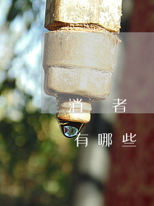 消費者協(xié)會的權(quán)利有哪些