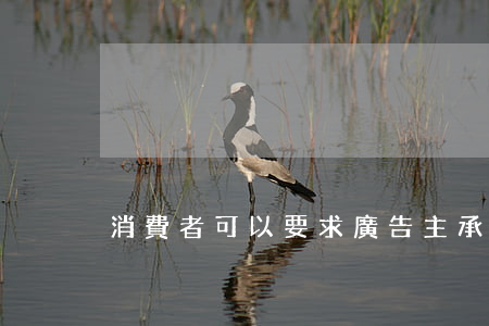 消費者可以要求廣告主承擔相應的民事責任