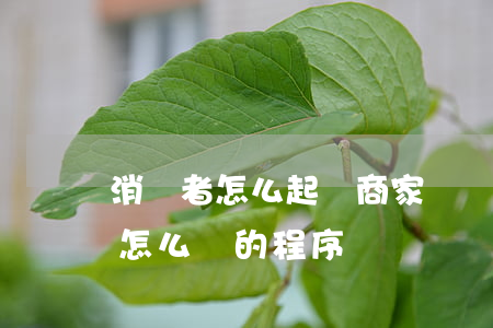 消費者怎么起訴商家(請問消費者投訴商家走怎么樣的程序?)