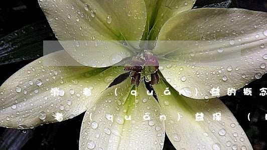 消費者權(quán)益的概念是什么（消費者權(quán)益保護(hù)的五種途徑）