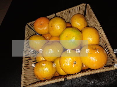 “消費貸+保險”模式的監(jiān)管強化與生態(tài)邊界